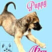 Thumbnail photo of Alex #4