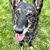 Thumbnail photo of Nikki #1