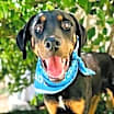 Thumbnail photo of TUCKER #1