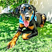 Thumbnail photo of TUCKER #2