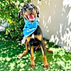 Thumbnail photo of TUCKER #3