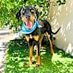 Thumbnail photo of TUCKER #4