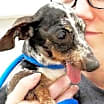 Thumbnail photo of Annabelle Annular #1
