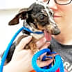 Thumbnail photo of Annabelle Annular #4
