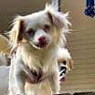 Thumbnail photo of Aspen #2
