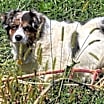 Thumbnail photo of Sophia #3