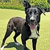Thumbnail photo of Lucky #3
