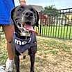 Thumbnail photo of Harper #2