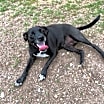 Thumbnail photo of Harper #4