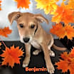 Thumbnail photo of Benjamin #2