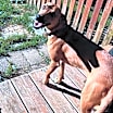 Thumbnail photo of Sadie #3