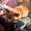 Thumbnail photo of Rocky #4