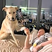 Thumbnail photo of Cali #1