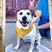 Thumbnail photo of Sheila #1