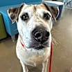 Thumbnail photo of Sheila #2