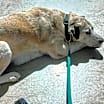 Thumbnail photo of Sheila #3