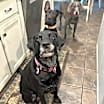 Thumbnail photo of NOVA #3