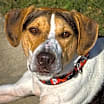 Thumbnail photo of Tucker #1