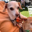 Thumbnail photo of Spot #3