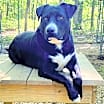 Thumbnail photo of HUNTER #1