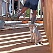 Thumbnail photo of Boots #2