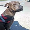 Thumbnail photo of Winston #1