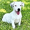 Thumbnail photo of Zeke #1