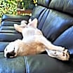 Thumbnail photo of 24-084 Wilma #4