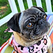 Thumbnail photo of Olive #3