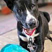 Thumbnail photo of Tommy #2