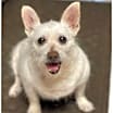 Thumbnail photo of Ophelia #2