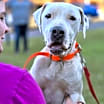 Thumbnail photo of Junior #1