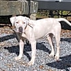 Thumbnail photo of Junior #2