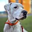 Thumbnail photo of Junior #4