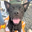 Thumbnail photo of Stitch #3