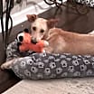 Thumbnail photo of Rayne #1