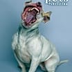 Thumbnail photo of Meatball aka Pete #2
