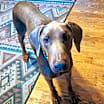 Thumbnail photo of Axel #1