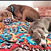 Thumbnail photo of Axel #4