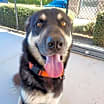 Thumbnail photo of Clark #1