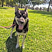 Thumbnail photo of Clark #3
