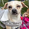 Thumbnail photo of Hutch Boy #2