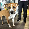 Thumbnail photo of Harry #4