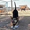 Thumbnail photo of Mona #1
