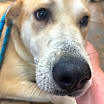 Thumbnail photo of Sol #2