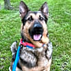 Thumbnail photo of Decker #1