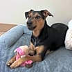 Thumbnail photo of Little Man #1