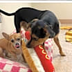 Thumbnail photo of Little Man #2
