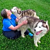 Thumbnail photo of Hank and Nubb (bonded pair) #2