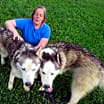 Thumbnail photo of Hank and Nubb (bonded pair) #3